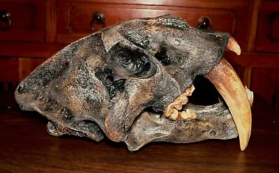 Smilodon Skull -Museum Quality.( Now With Free Stand) • $355.56