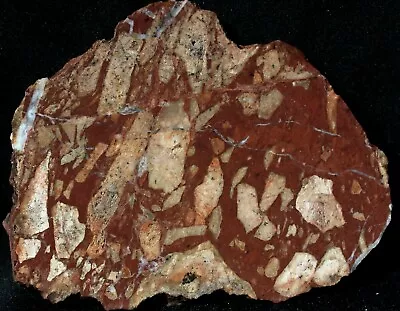 A-1245a   ~  7.5oz   Slab Multicolored Jasper ~ Arizona • $10.97