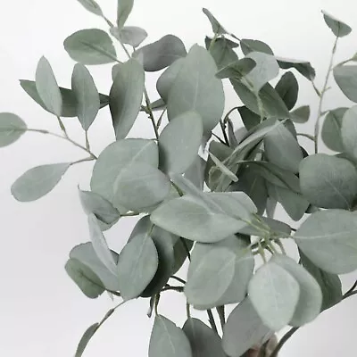 Eucalyptus Silver Dollar Spray 60cmH Australian Native Flower Faux Greenery DIY  • $9.90