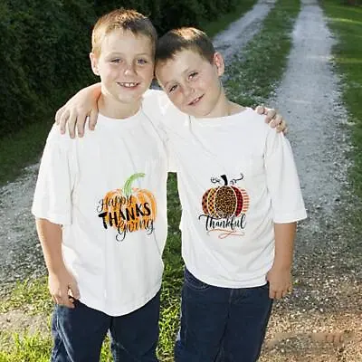 T-shirt Iron Transfer Sticker Pumpkin Variety Halloween W Autumn P5L8 • $1.54