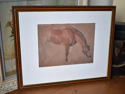 Vintage Horse Picture Edwin Landseer Framed Print Study Of A Horse Glazed (P) • $36.99