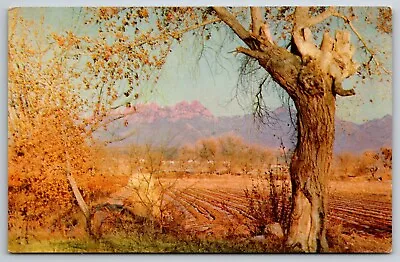 Union Oil Organ Mountain La Cruces New Mexico Manilla Valley Unp Chrome Postcard • $5.90