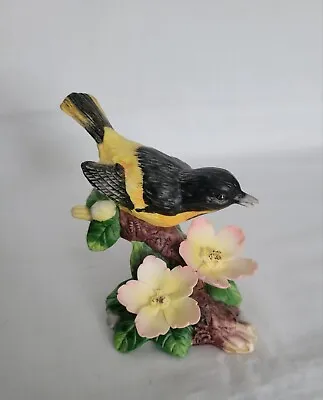 Vintage Porcelain Northern Baltimore Oriole Bird Figurine  • $11.99