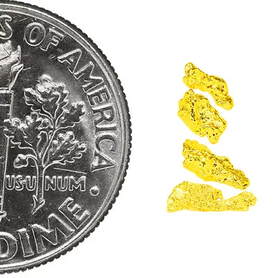 0.2100 Gram Alaska Natural Gold Nuggets - (#77361) - 4pcs Alaskan Gold Nuggets • $0.01