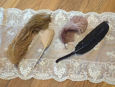 Antique Victorian Edwrdian Titanic 19teens Lot Of 4 Millinery Feathers • $35