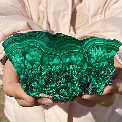 308G  Natural Green Malachite Crystal Block Polished Quartz Pattern Specimen • $0.99