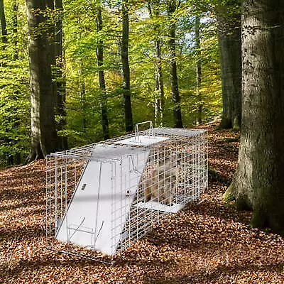  Live Animal Cage Trap 31  X 10  X 12  Humane Cat Trap Cats Squirrels Mouse • $37.04