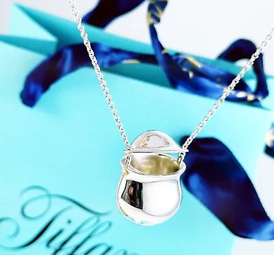 Tiffany & Co Elsa Peretti Sterling Silver Inro Bottle 24” Necklace/pendant. New • $355