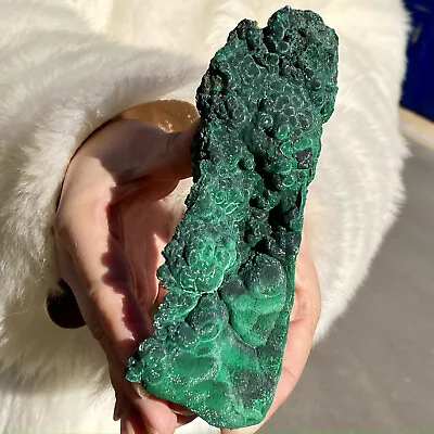 294G Natural Glossy Malachite Coarse Cat's Eye Cluster Rough Mineral Sample • $3.25
