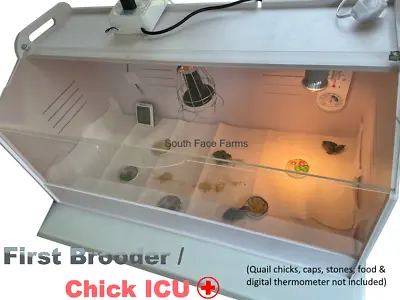Automatic Temperature Control-First Brooder / Chick ICU - LITTLE ROCK AR SELLER • $154.95