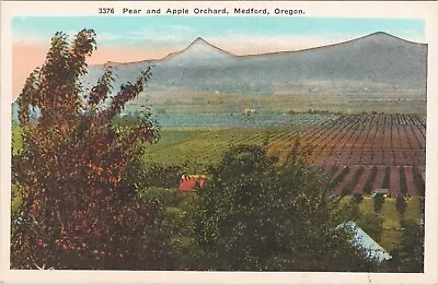 Pear And Apple Orchard Jackson County Medford Oregon Vtg Postcard CP336 • $6.65