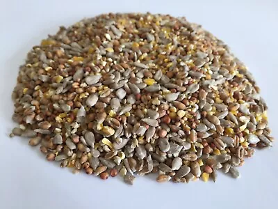 £1.25 • Buy No Mess Premium Special Wild Bird Seed Mix High Energy