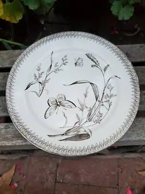 TR Boote English Transferware Plate Summer Time Pattern • $42