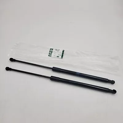 Land Rover Lr3/lr4 Tailgate Upper Strut Set Of Two Parts  Lr086368g • $75.95