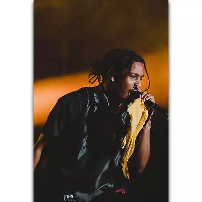 ASAP Rocky Hip Hop Rap Music Singer Rapper Star Poster 21 24x36 E-1841 • $5.50