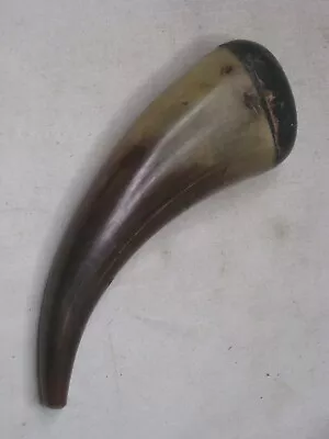 Vintage Antique Horn Part W/ Wooden End Approximately 5  Decorative *  NOTE: • $11.90