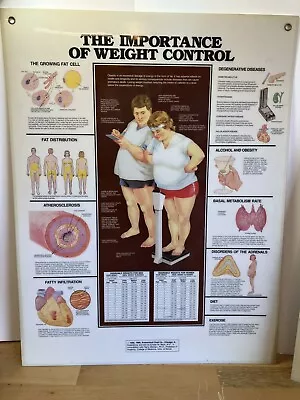 Vintage 1980's Anatomical Weight Control Educational Chart / Human  Medical Real • $29.99