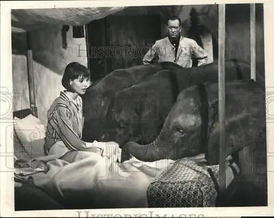 1970 Press Photo Elsa Martinelli & John Wayne With Elephants In  Hatari  Movie • $17.99