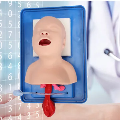 $77.91 • Buy Lab Airway Intubation Manikin Study Infant Model Management Trainer Aid PVC HOT
