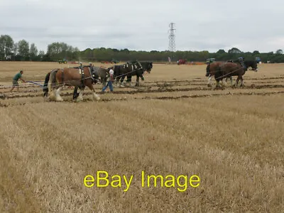 Photo 6x4 Shire Horses Ploughing At The East Kent Ploughing Match Lower H C2009 • £2