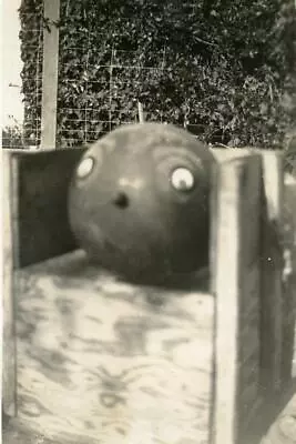 PH289 Vtg Photo VINTAGE TOY BALL WITH FACE BOUNCY BALL C Early 1900's • $5.50