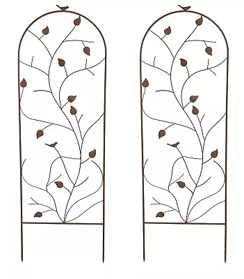 Metal Garden Trellis Flower Plant Climbing Support Birds & Leaf Rust Effect 2Pcs • £44.98