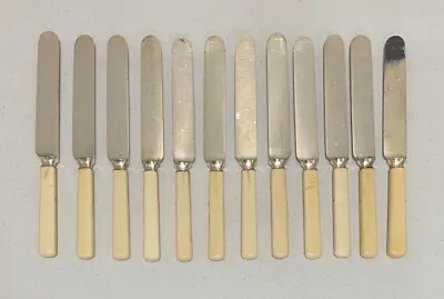 Antique Set Of 12 Butter/Spread Knives Meriden Cutlery Co 1855  Bone Handle • $60