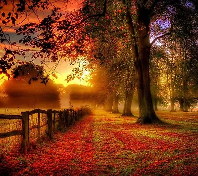 Countryside Autumn Trees Warm Sunset Large Wall Art Framed Canvas Picture 20x30  • £20