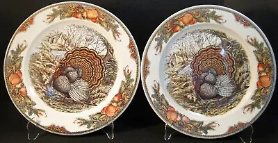 Queen's Harvest Bounty Dinner Plates 10  Turkey England Set Of 2 Excellent • $44.99