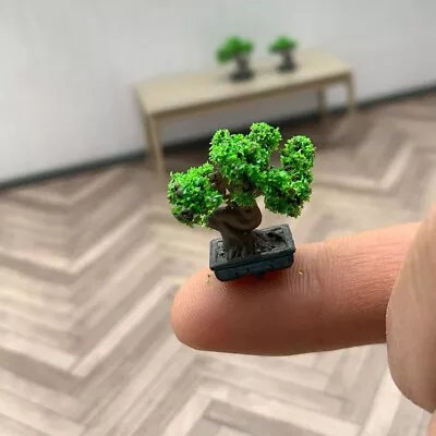 2PC Dollhouse Miniature 1:12 Mini Pine Bonsai Model Furniture Accessories Resin • $9.99