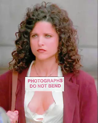 8x10 Photo Julia Louis Dreyfus Pretty Sexy Seinfeld TV Star In A 1996 TV Frame • $14.45