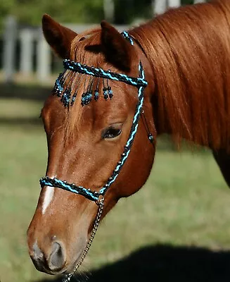 NEW Hand Braided Miniature Show Halter W/Browband Horse Tack BLACK W/TURQUOISE • $46