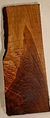 Natural Ohio Black Walnut Slab Dimensional Unfinished Wood Woodworking W202 • $27.77