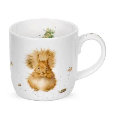 Royal Worcester Wrendale Designs Treetop Redhead 14 Ounces Mug - Squirrel • $16.99