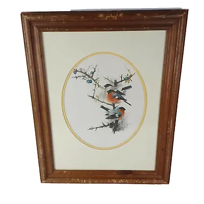 Vintage 80s Framed Danish Watercolor Bird Series Artist Mads Stage Spring Robins • $127.46