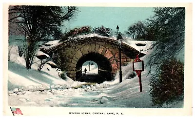 New York City NY Central Park Winter Scene Posted 1908 Antique Postcard • $7.99