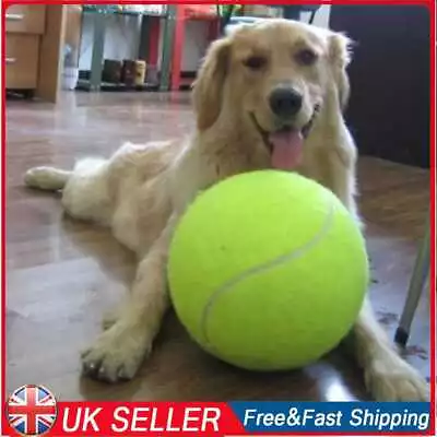 £9.29 • Buy 9.5' Big Giant Pet Dog Puppy Tennis Ball Thrower Chucker Launcher Play Toy