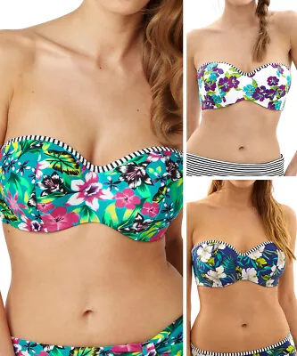 Panache Elle Bikini Top Strapless Bandeau SW0873 Underwired Padded Swimwear • £16