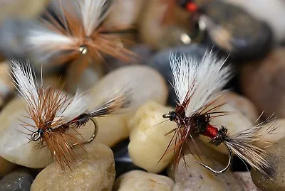 12 Flies - Royal Wulff Dry Fly - Mustad Signature Fly Fishing Hooks • $8.99