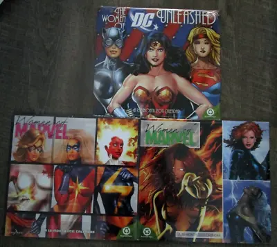 2010 2011  Women Of Marvel & DC Unleashed Wall Calendars Phoenix Wonder Woman + • $14.95