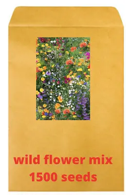 1500 Seeds  WILD FLOWER MEADOW SEEDS Wild Scented Bee Mixed Meadow NO GRASS Mix  • £2.95