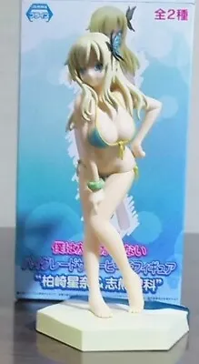 Haganai High Grade Summer Beach HG Figure   Kashiwasaki Sena   • $40