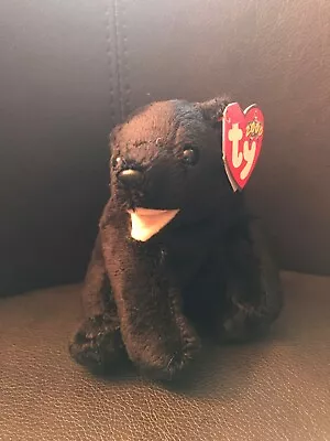 Ty Beanie Baby CINDERS Plush Black Bear With BEIGE Mouth 2000 StarMWMT 5  TALL • $4