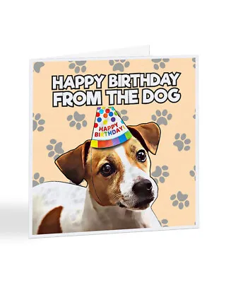 Jack Russell Birthday Card From The Dog Funny Family Pet Dog Card - A7078 • £3.25