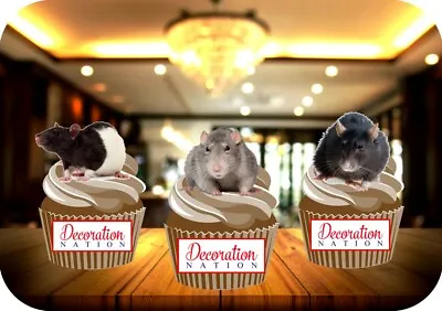 Rat Trio Mix 12 Edible STANDUP Cake Toppers Decoration Birthday Cute Animal Fun • £3.49