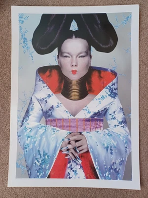 £65 • Buy Bjork Homogenic Original 1997 Street Promo Poster.