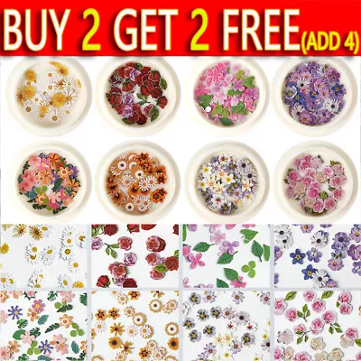 Nail Art Manicure Colorful Flower Daisy Rose Dried Flowers Accessoriest Decor • £2.63