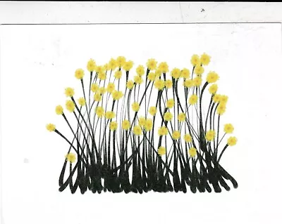 Daffodils Marie Curie Postcard Unused VGC • £1.30