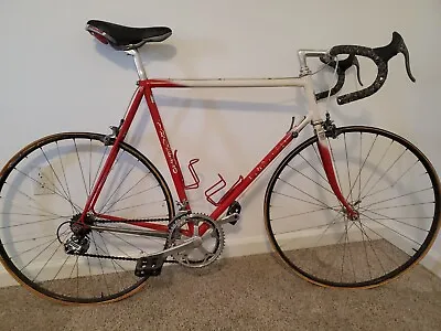 Vintage 1980’s Pinarello Treviso Columbus 60cm Steel Multi Color Road Bike • $1100