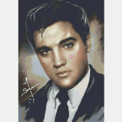 $21.40 • Buy Craft Sets Embroidery Decoration Xmas 5D Elvis Diamond Painting Full Diamond AU